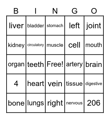 Human body system Bingo Card