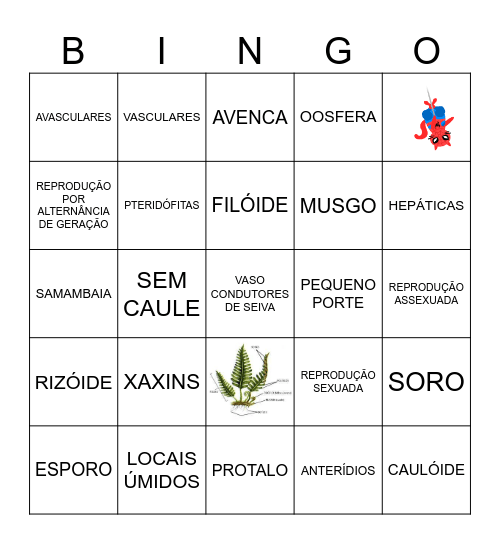 BRIÓFITAS X PTERIDÓFITAS Bingo Card