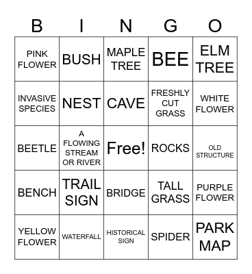 CVNP BINGO Card