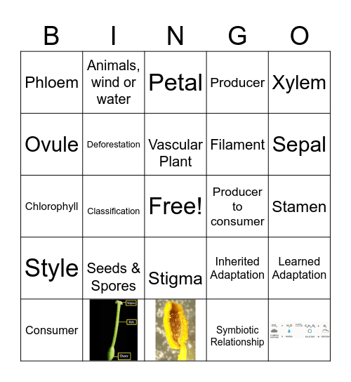 Biosphere Bingo Card