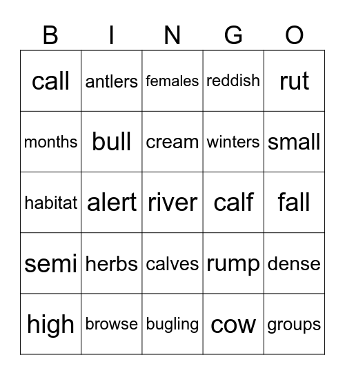 Elk Bingo Card