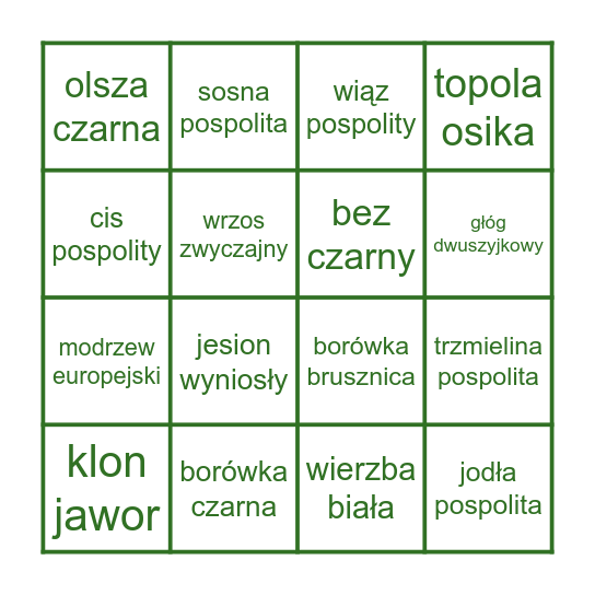 Drzewa Polski Bingo Card