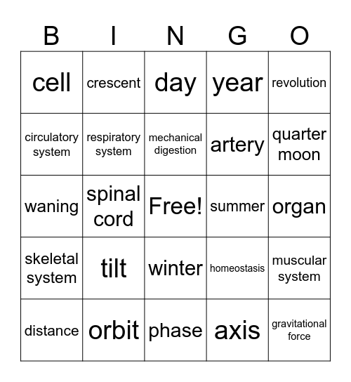 Science Final Review Bingo Card