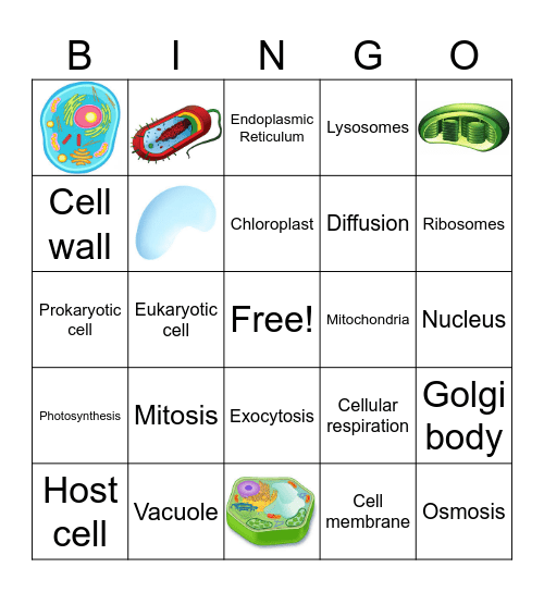 Cells & Other Tiny Things Bingo Card