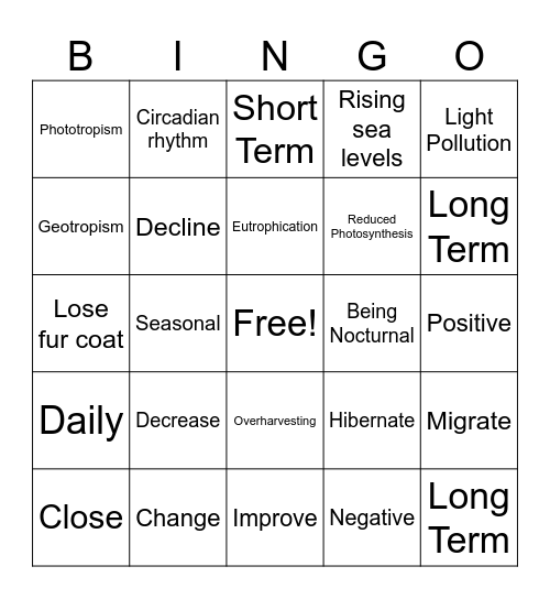 Unit 11!! Bingo Card