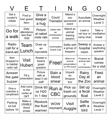 Veterinary Team Bingo Card