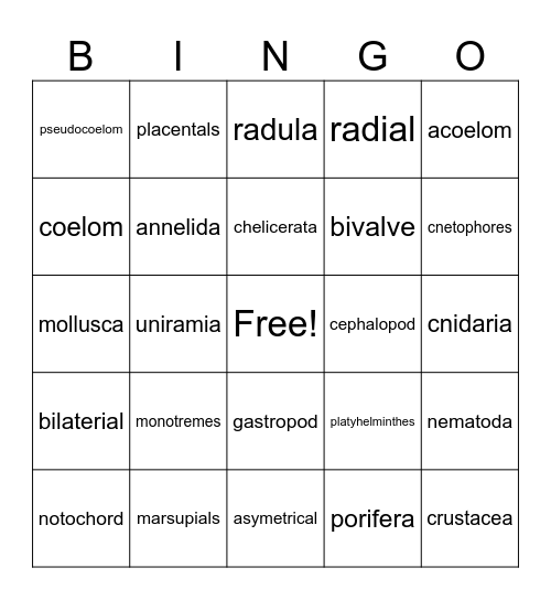Zoology Review Bingo Card