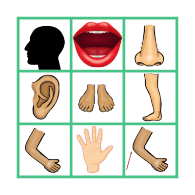 BODY PARTS Bingo Card