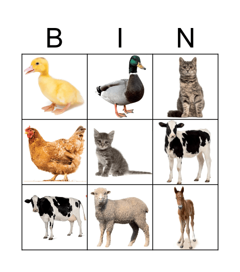 Farm animals: babies and their mums Bingo Card