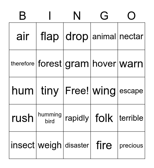 Lesson 4 Bingo Card