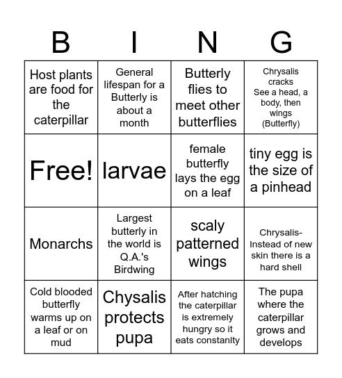 Butterly lifecycle Bingo Card