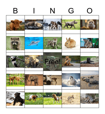 Animal Kingdom (Baby Edition) Bingo Card