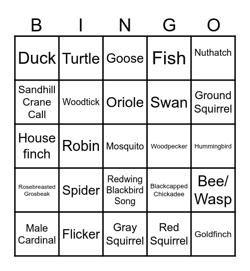 Camp Haughey Bingo Card