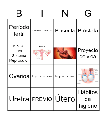 Bingo do Sistema Reprodutor Bingo Card