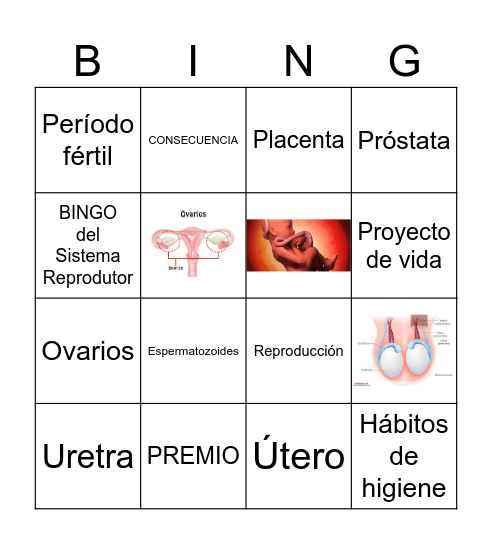 Bingo do Sistema Reprodutor Bingo Card