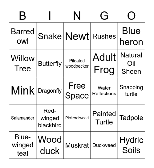 Wetlands Bingo! Bingo Card