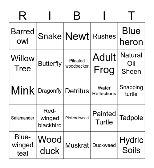 Wetlands Bingo! Bingo Card