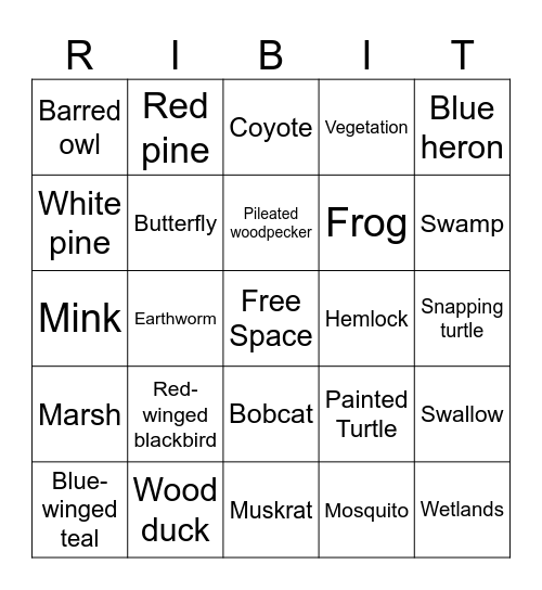 Wetlands Bingo Card