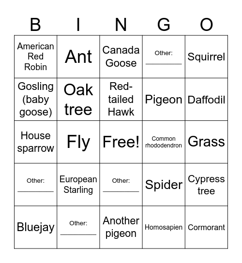 Outside MOS Bingo Card