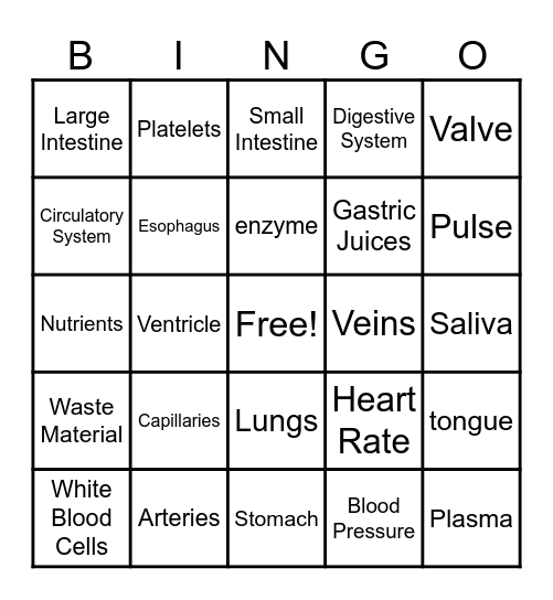 Digestive and Circulatory Systems Bingo Card