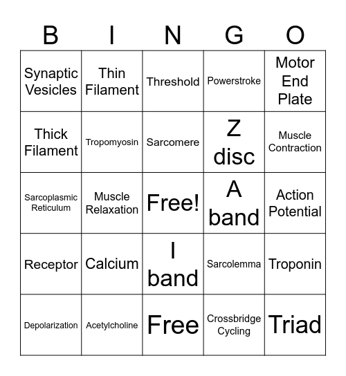 Excitation-Contraction Coupling Bingo Card