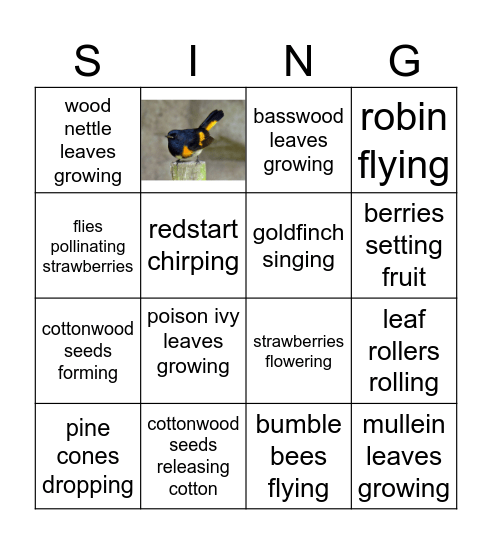 FLOODPLAIN FOREST BINGO Card