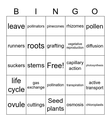 Plants Bingo Card