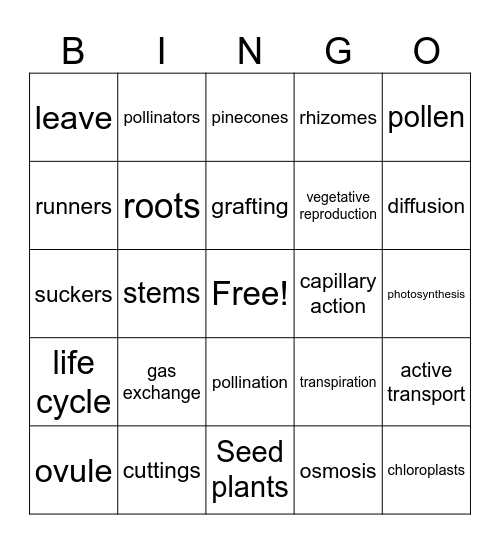 Plants Bingo Card