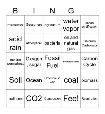 Carbon Cycle Bingo Card