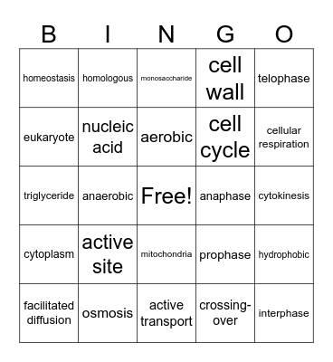 Cells BINGO Card