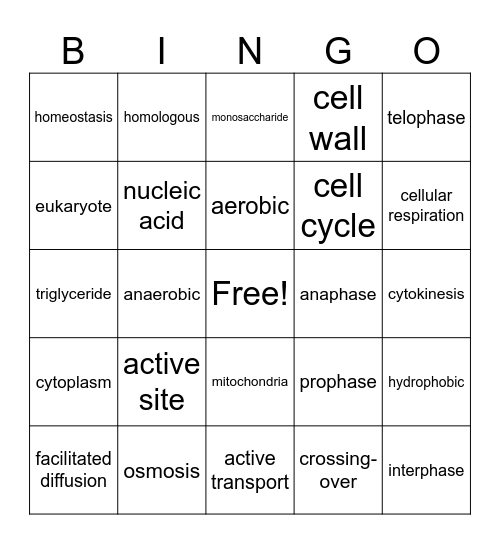 Cells BINGO Card