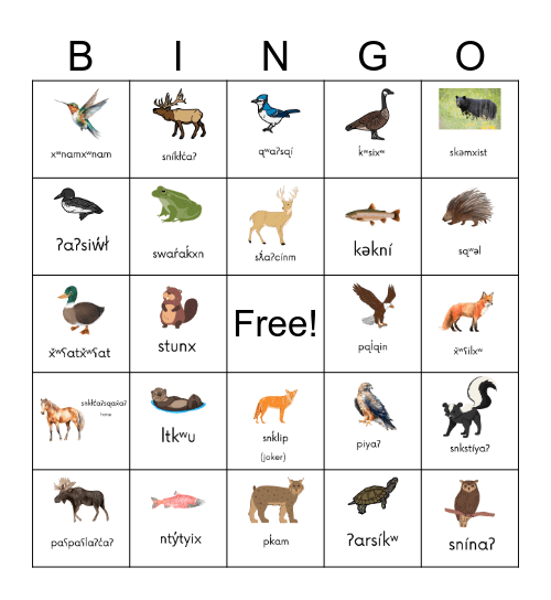 tmixʷ Bingo Card