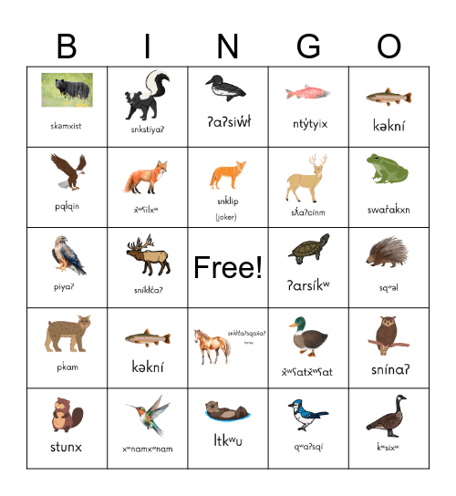 tmixʷ Bingo Card