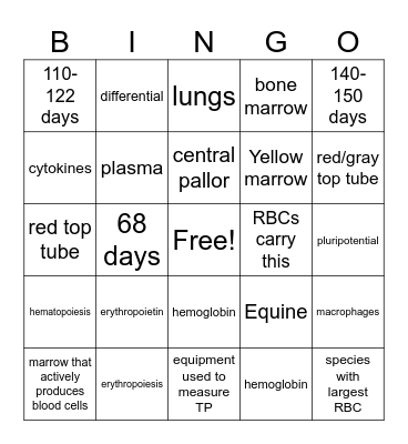 Erythrocytes Bingo Card