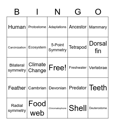Animal Diversity & Evolution Bingo Card