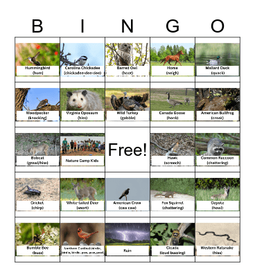 BJNCP Sounds Bingo Card