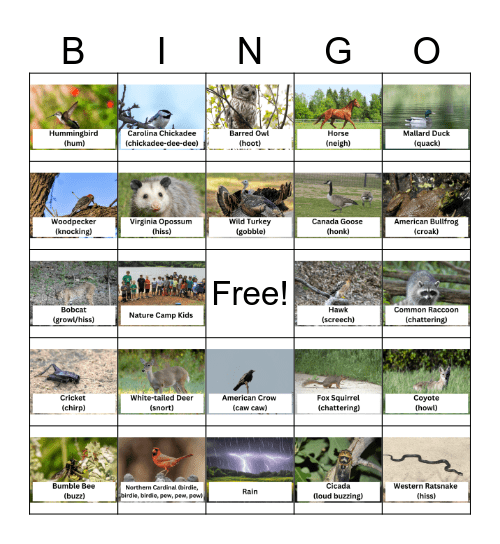 BJNCP Sounds Bingo Card