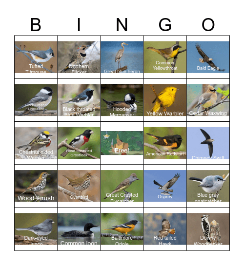 Connor's May Bingo Card