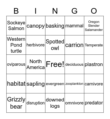 Northwest Temperate Forest  Bingo Card