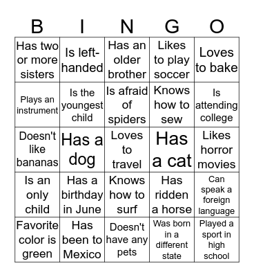 Icebreaker Bingo Card