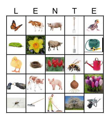 Lente Bingo Card