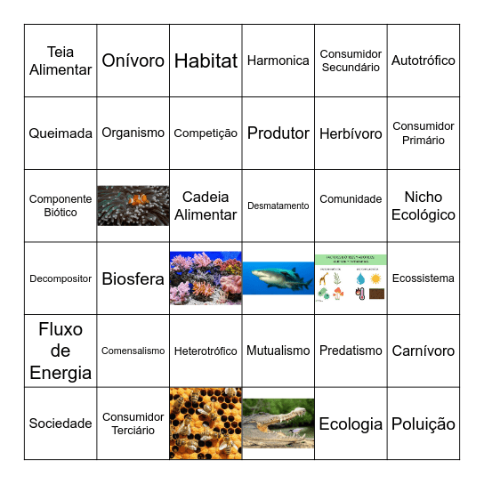 RELAÇÕES ECOLÓGICAS Bingo Card