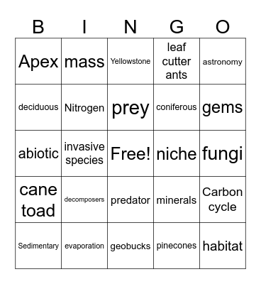 5th grade science Bingo Card