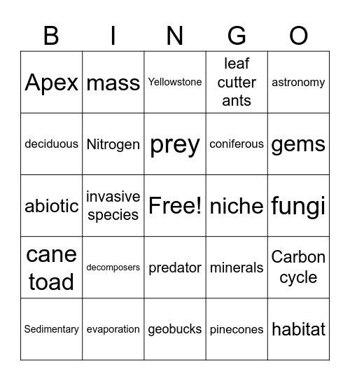 5th grade science Bingo Card