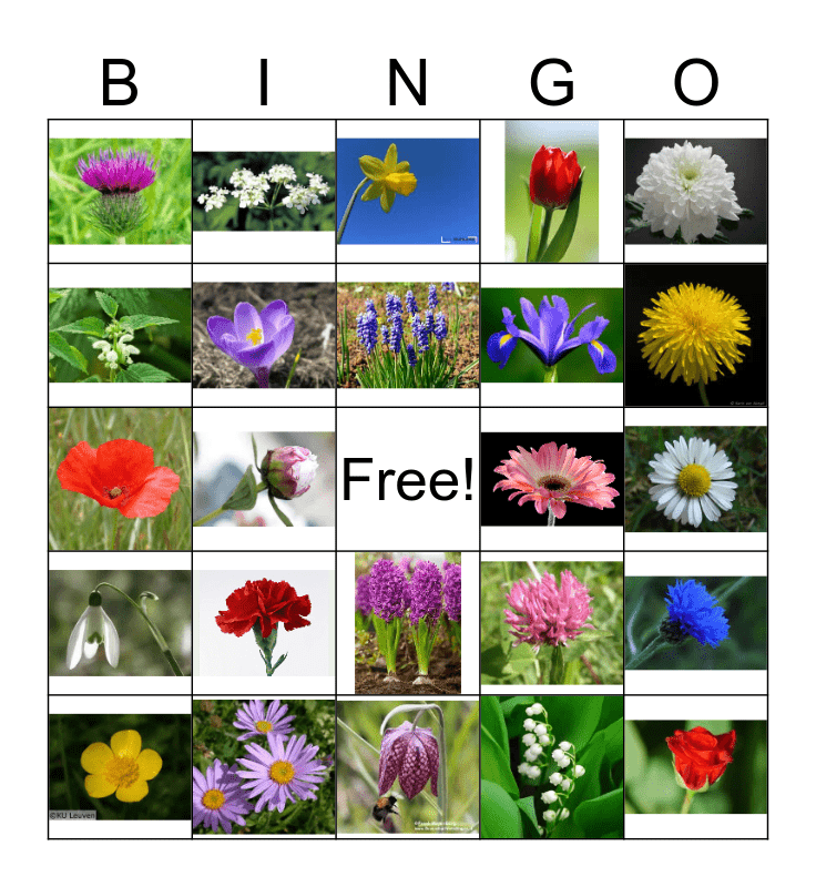 Bloemen Bingo Card