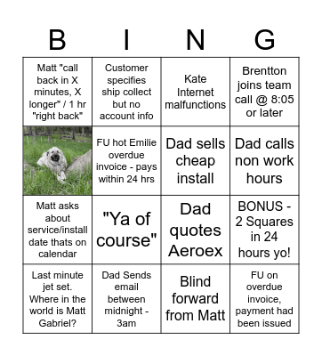 BING VIIII Bingo Card