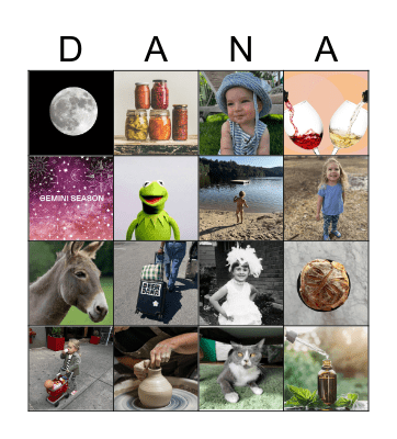 DANA BINGO Card