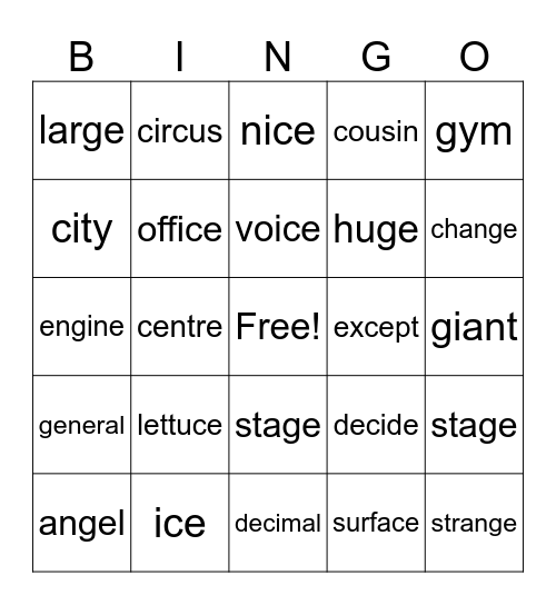 Soft c and g Bingo Card