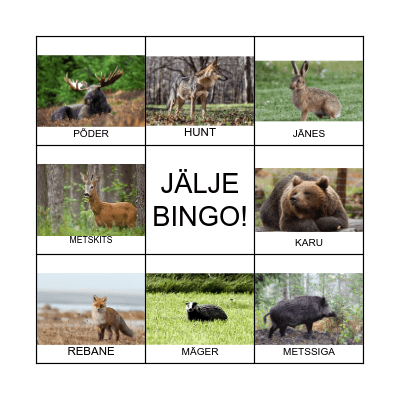 LOOMAJÄLGEDE BINGO Card