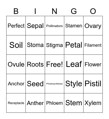 Parts of the Plant Bingo Card